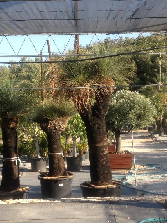 אורלה Two Rooms Hotel מראה חיצוני תמונה